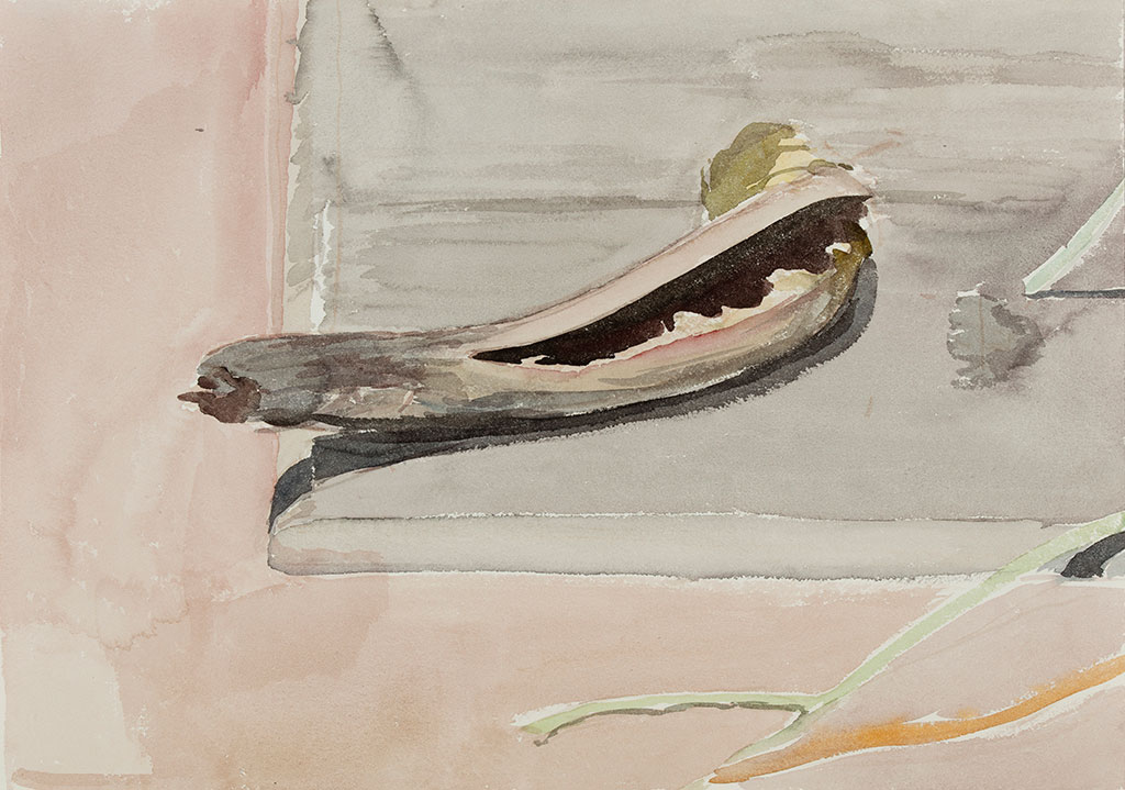 Stick III, 2015, watercolour and gouache on paper, 35 x 48cm 